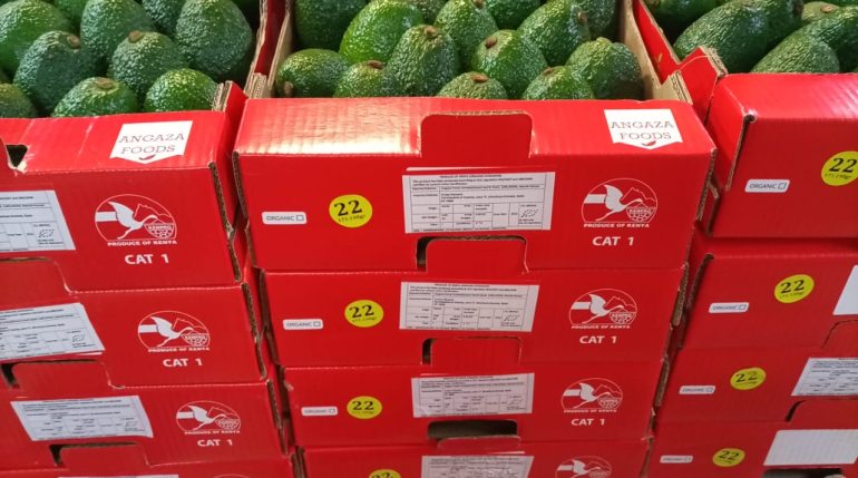 Avocado pear exportation